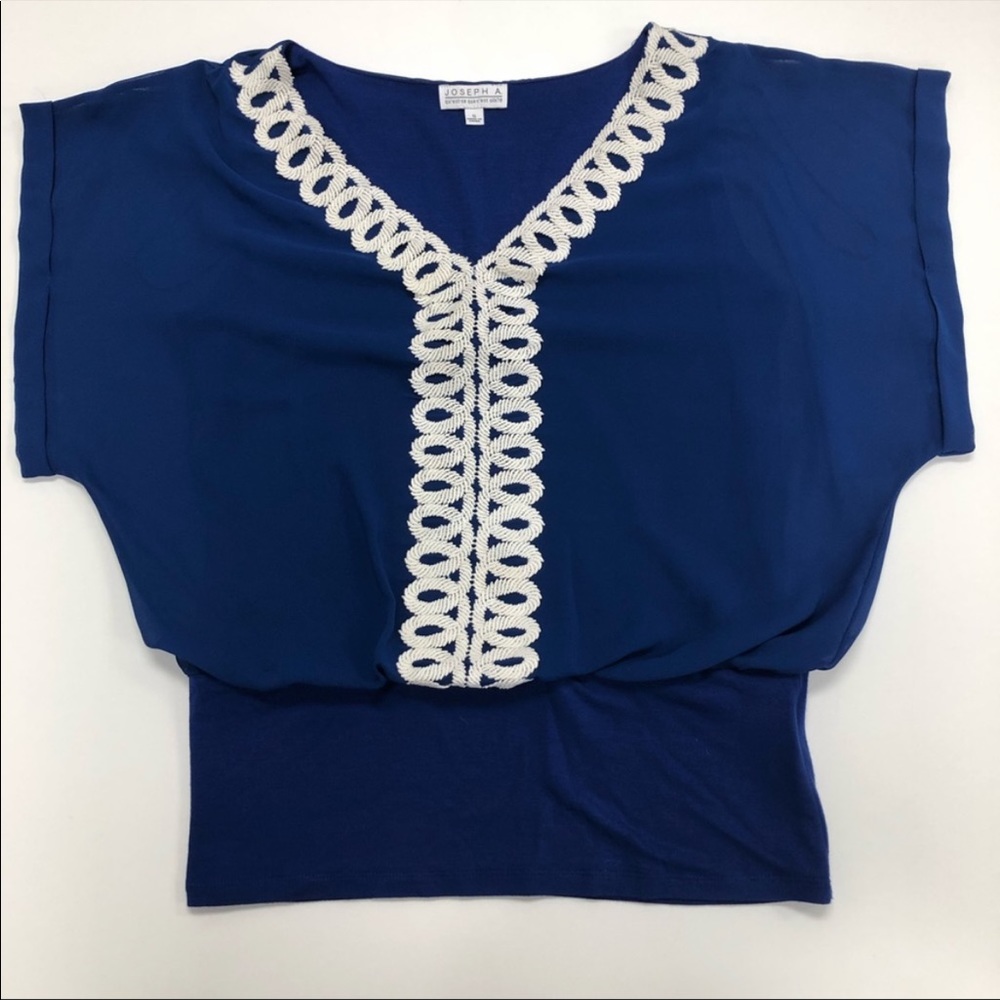 🍭Joseph A. Blue Sheer Top w White Detailing Sz M